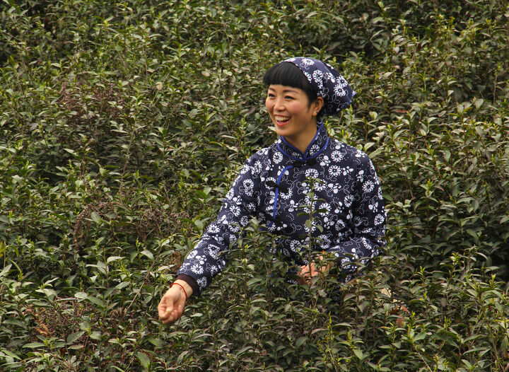 最新2